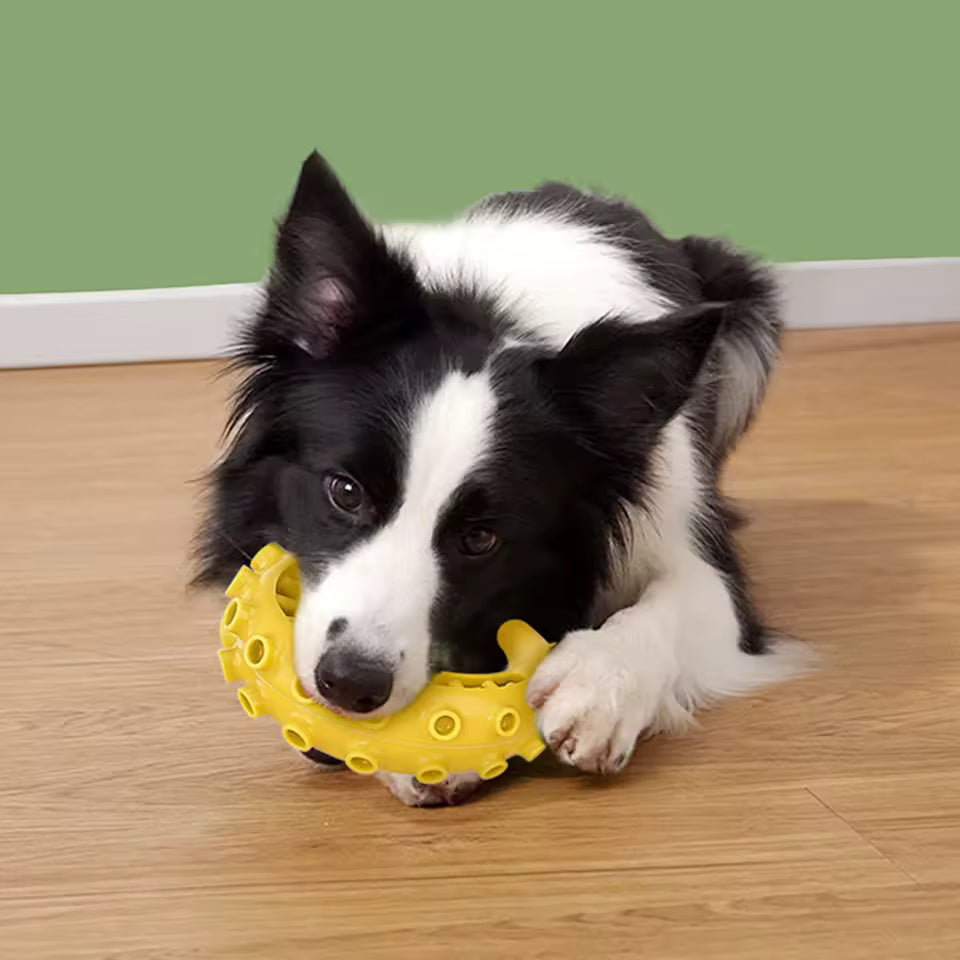 Durable TPR Dog Chew Toy
