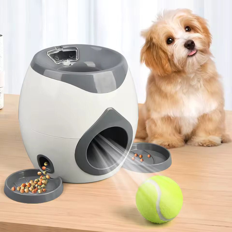 Smart Treat Ball Launcher
