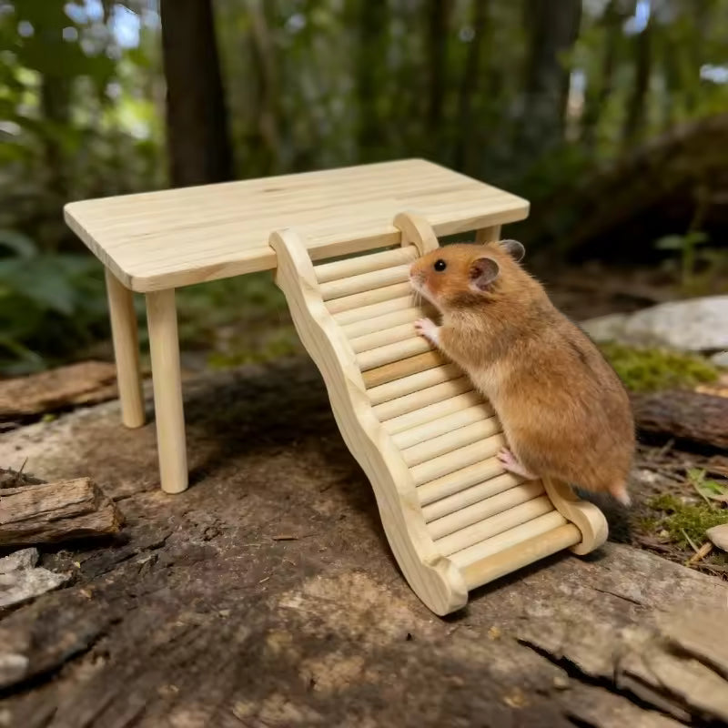 Wooden Hamster Platform