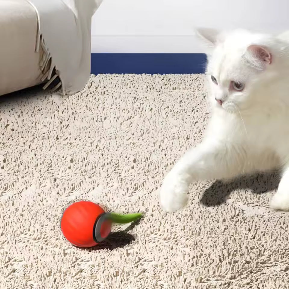 USB Rechargeable Smart Cat Ball with Fast-Tail Interactive Play