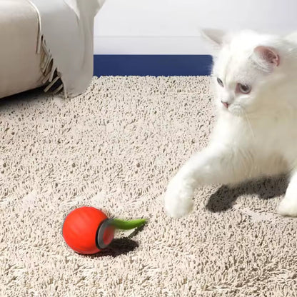 USB Rechargeable Smart Cat Ball with Fast-Tail Interactive Play