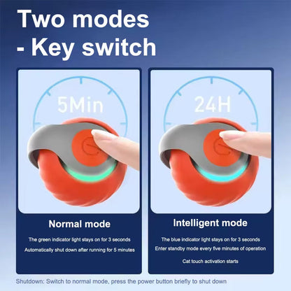 USB Rechargeable Smart Cat Ball with Fast-Tail Interactive Play