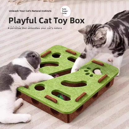 Felt Puzzle Box Cat Toy with Ball