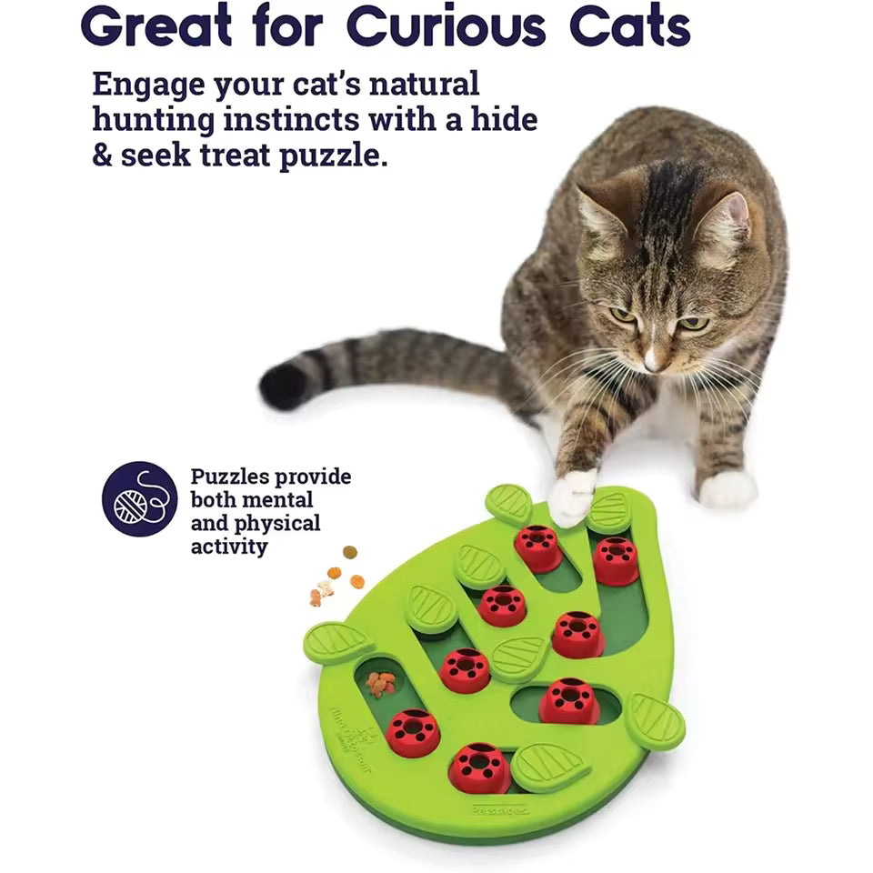 Rainy Day Interactive Cat Puzzle – Treat & Scratcher Toy